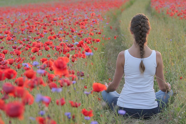 Harmony in Every Shade: The Transformative Role of Window Blinds in Your Yoga Sanctuary